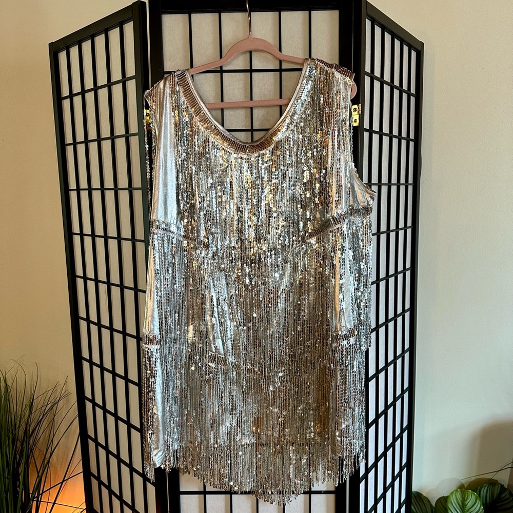 Silver Sequin Fringe Mini Dress - Party Glam